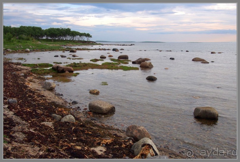 Соловецкий архипелаг в июне, часть 5.