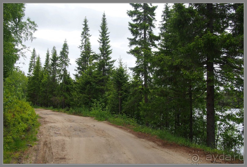 Соловецкий архипелаг в июне, часть 5.