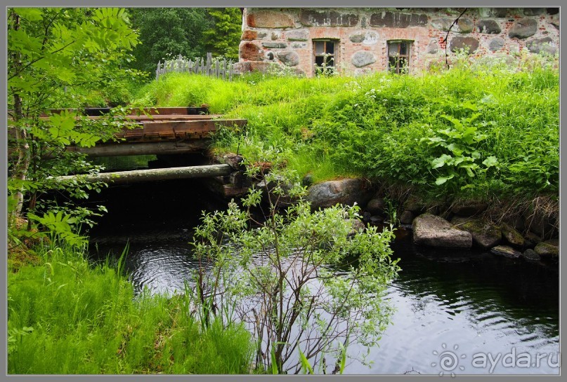 Соловецкий архипелаг в июне, часть 5.