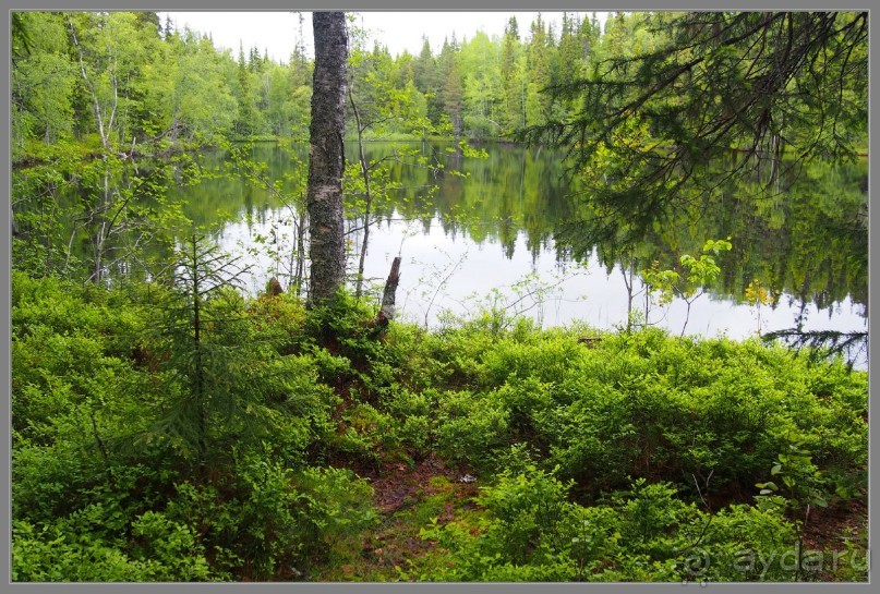 Соловецкий архипелаг в июне, часть 5.