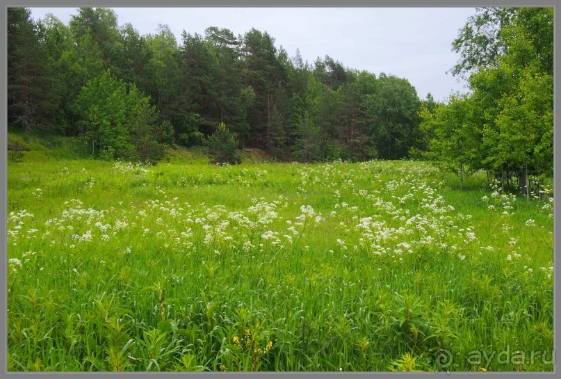 Соловецкий архипелаг в июне, часть 5.