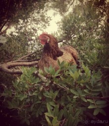 Кемер и его окресности