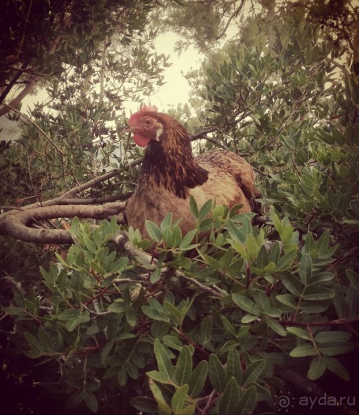 Кемер и его окресности