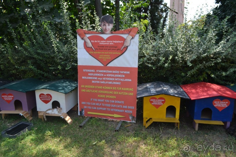 Кемер и его окресности