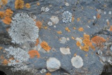 Альбом отзыва "для любителей природы и полетов на параплане"