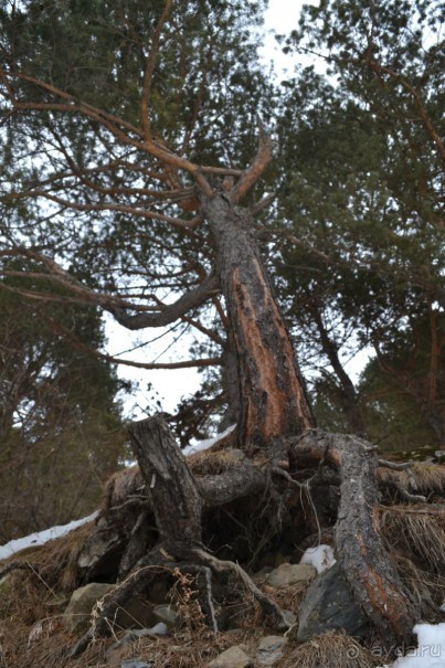 для любителей природы и полетов на параплане
