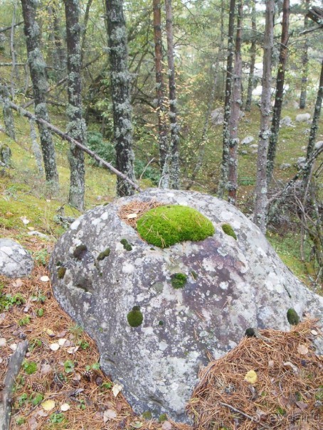 для любителей природы и полетов на параплане