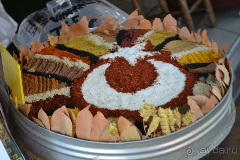 Теплое море и ласковое солнце Турции