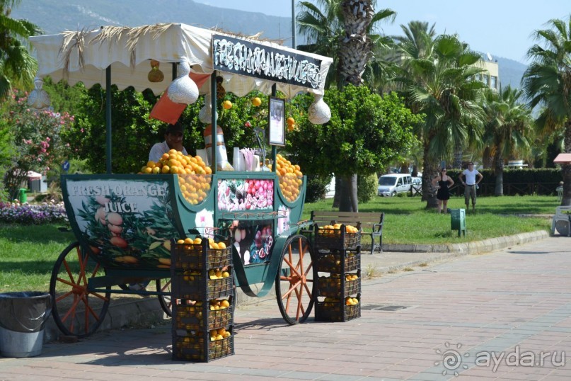 Теплое море и ласковое солнце Турции