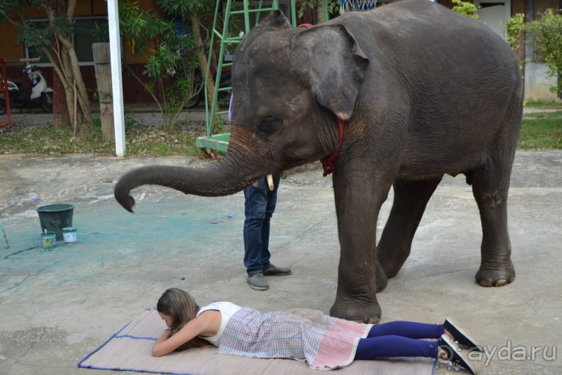 мечтаю  еще раз полететь в Тай