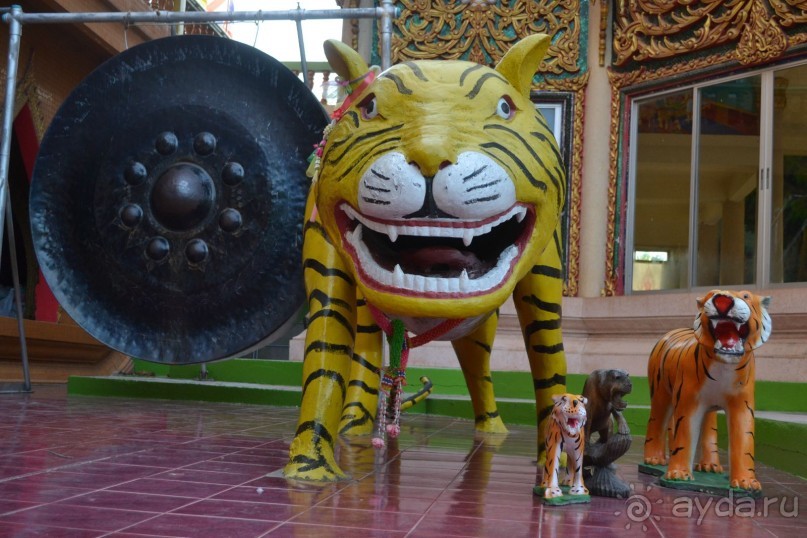 мечтаю  еще раз полететь в Тай