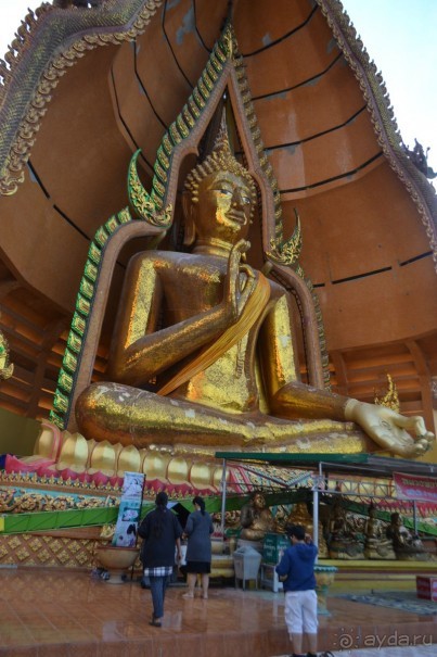 мечтаю  еще раз полететь в Тай