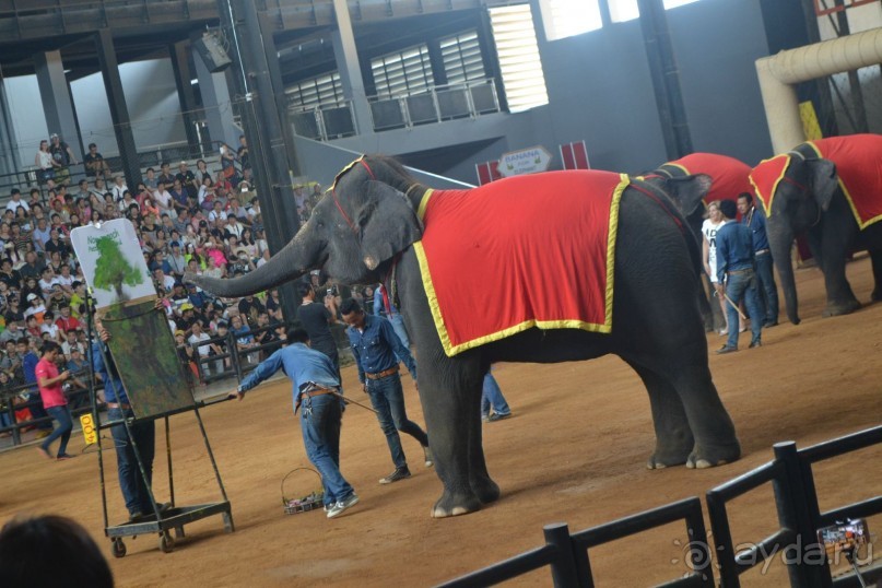 мечтаю  еще раз полететь в Тай