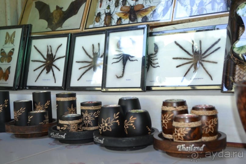 мечтаю  еще раз полететь в Тай