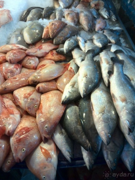 мечтаю  еще раз полететь в Тай