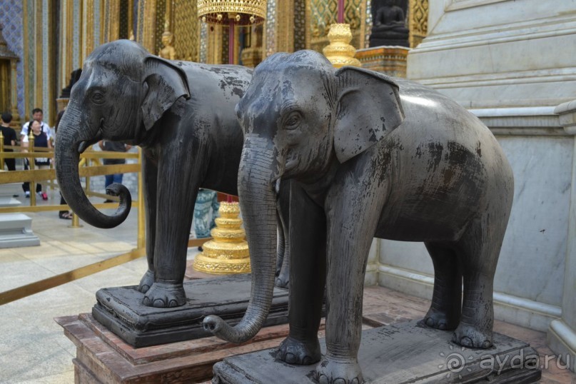 мечтаю  еще раз полететь в Тай