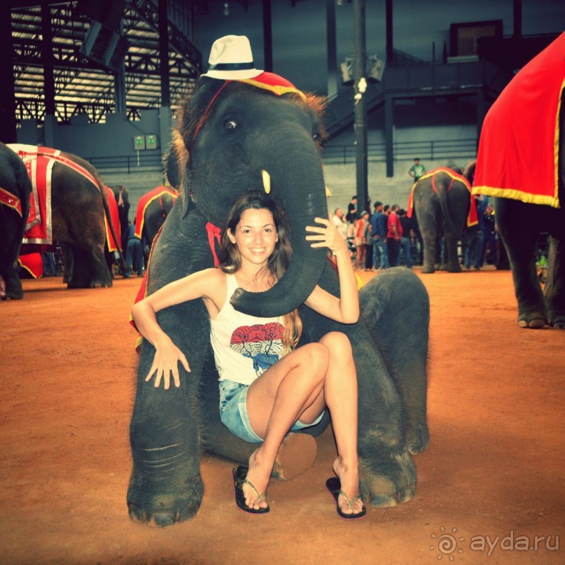 мечтаю  еще раз полететь в Тай