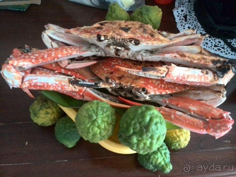 мечтаю  еще раз полететь в Тай