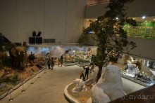  В Москву с ребенком по музеям и паркам.