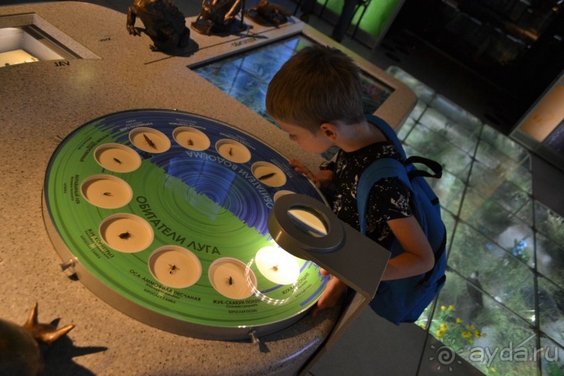  В Москву с ребенком по музеям и паркам.