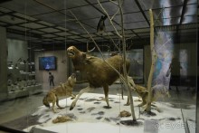  В Москву с ребенком по музеям и паркам.