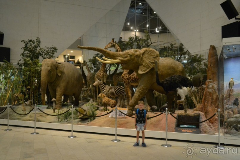  В Москву с ребенком по музеям и паркам.