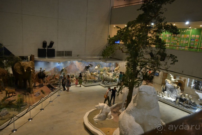  В Москву с ребенком по музеям и паркам.