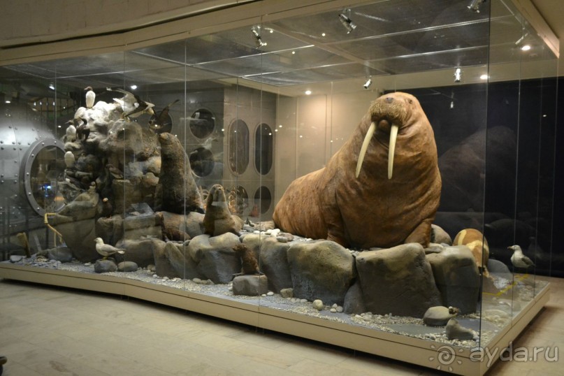  В Москву с ребенком по музеям и паркам.