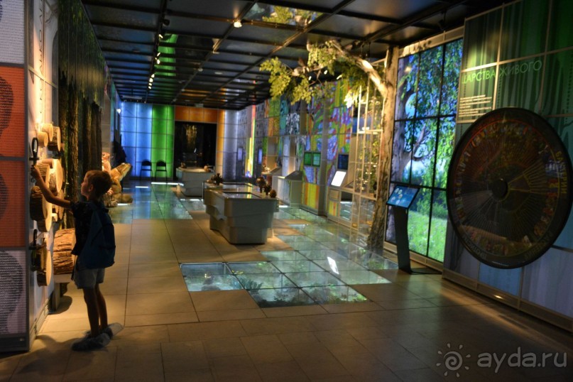  В Москву с ребенком по музеям и паркам.