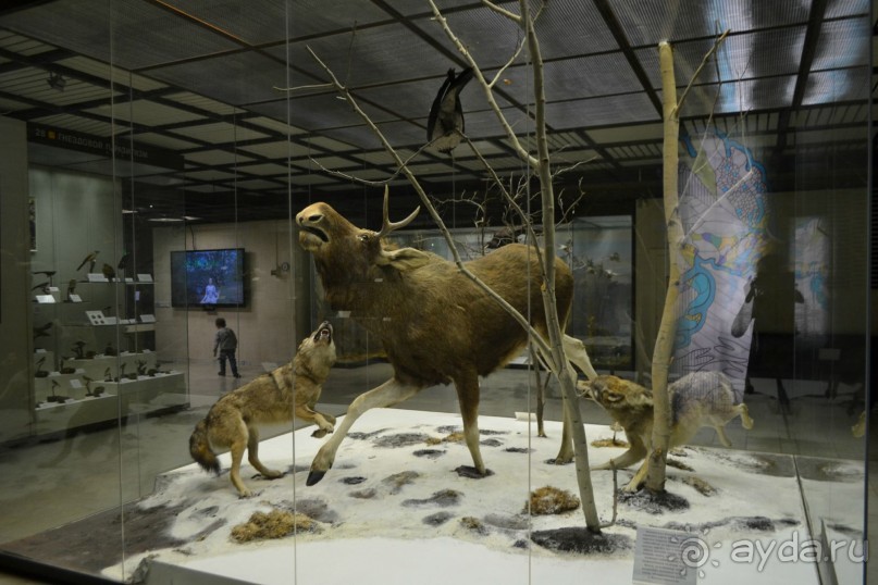  В Москву с ребенком по музеям и паркам.