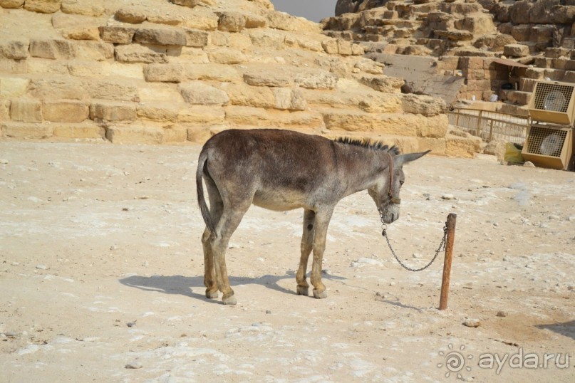 Для любителей дайвинга