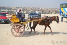 Для любителей дайвинга