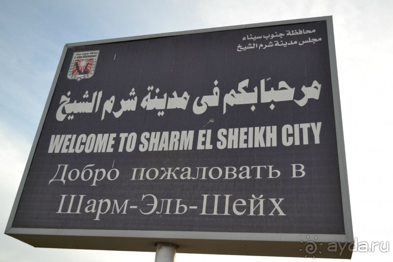 Для любителей дайвинга