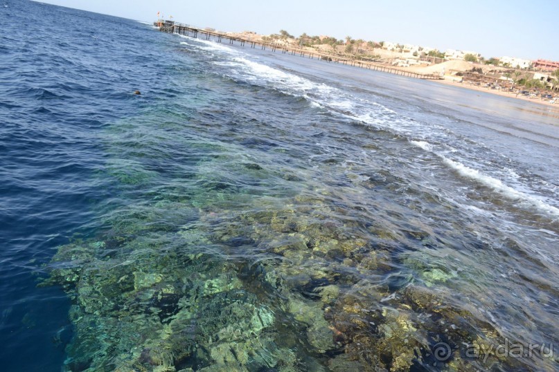 Для любителей дайвинга