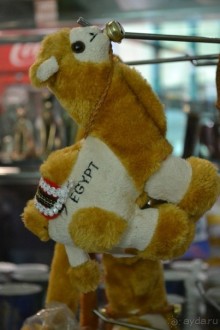 Для любителей дайвинга