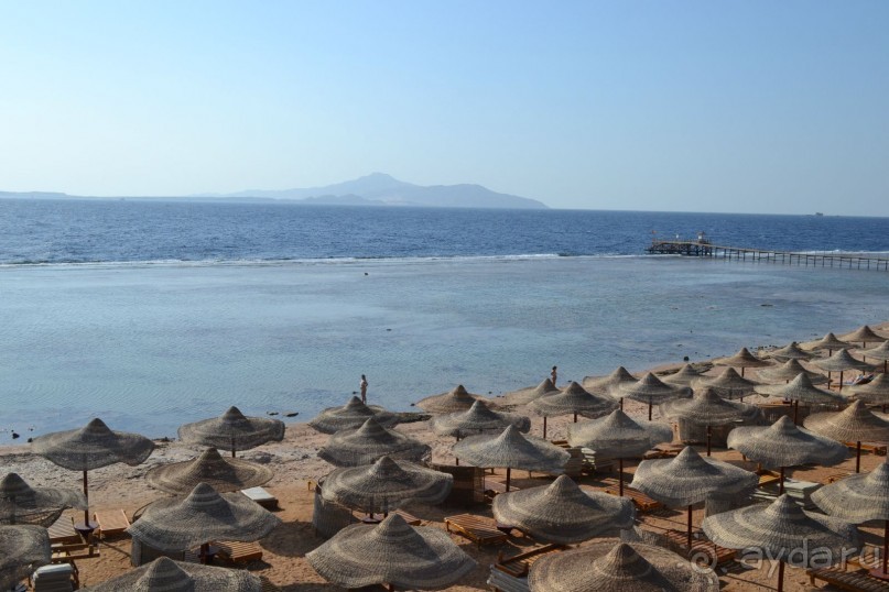 Для любителей дайвинга