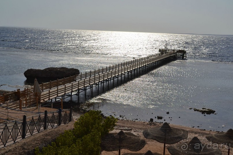 Для любителей дайвинга