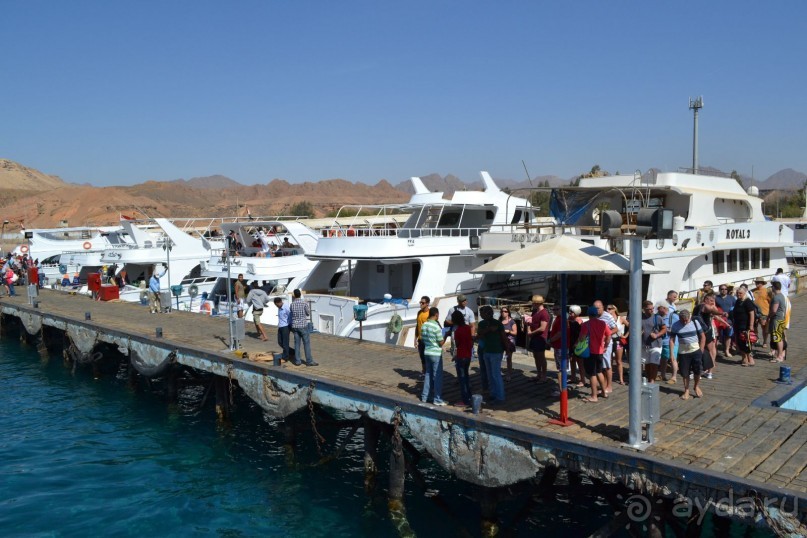 Для любителей дайвинга