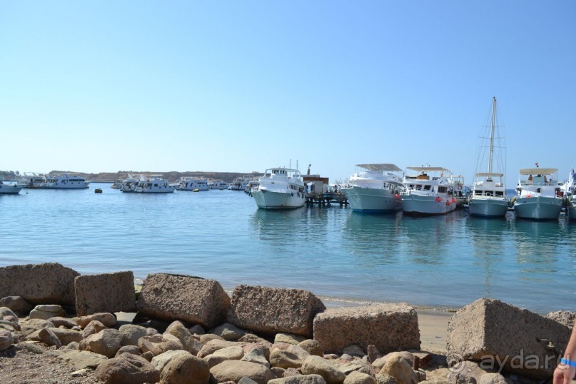 Для любителей дайвинга