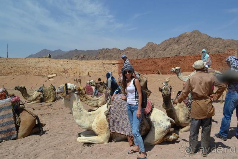 Для любителей дайвинга