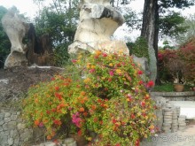 Великолепный отдых в Паттайе.