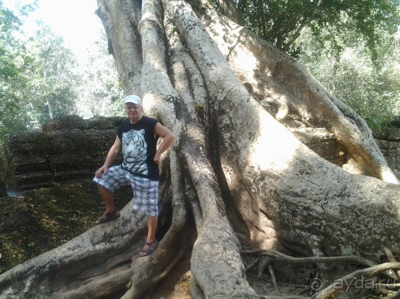 Великолепный отдых в Паттайе.