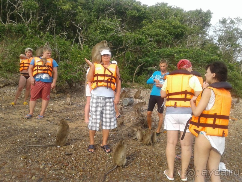 Великолепный отдых в Паттайе.