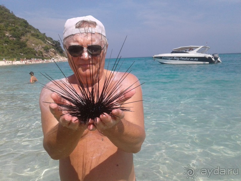 Великолепный отдых в Паттайе.