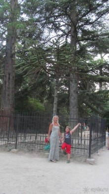 Пока в Крыму нас не очень любят.