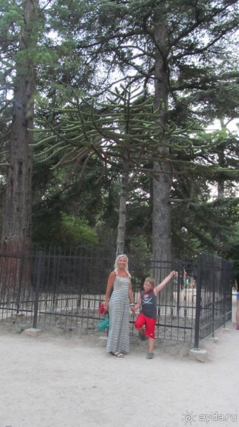 Пока в Крыму нас не очень любят.