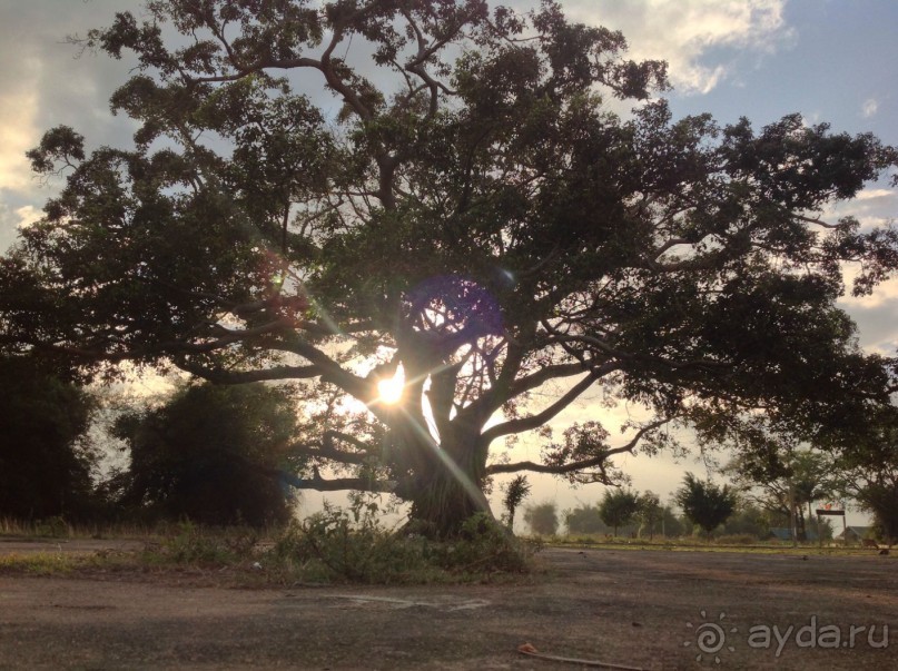 Поездка в страну слонов, Даклак