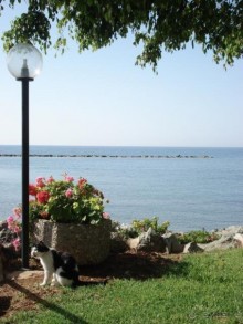 фото Crowne Plaza Limassol