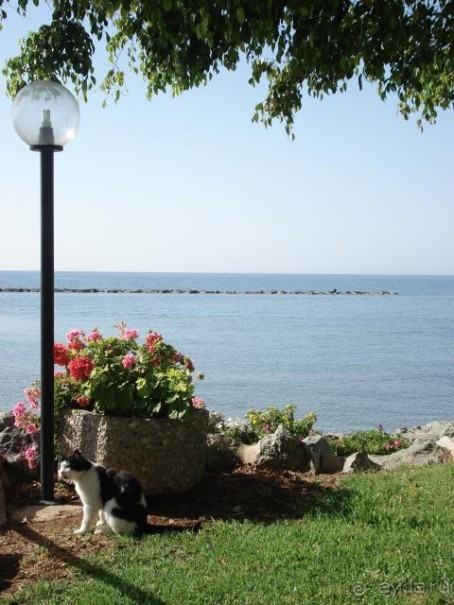 фото Crowne Plaza Limassol