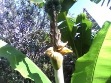 Отдых в Армянском ущелье у Давида и Аксаны